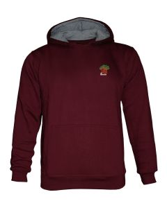 IIIT Hyderabad 25 Years Hoodie