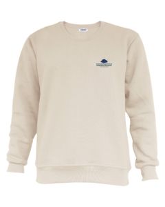 IIIT Hyderabad beige sweatshirt