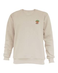 IIIT Hyderabad beige Silver Jubilee sweatshirt